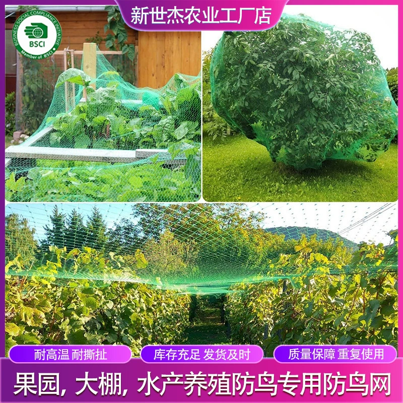 Полиэтиленовая сетка против птиц, прямые продажи, нейлоновая сетка, специальная зеленая защитная сетка для фруктовых деревьев, пластиковая безузловая экструзионная сетка