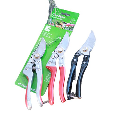 Fruit tree shears, pruning scissors, labor-saving pruning scissors, branch and flower branch gardening shears, flower shears, garden tools wholesale