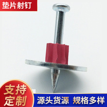 PJ��ᔸ��N��̖�S�ҬF؛�|Ƭ��� �F�|Ƭ� pdw32p10s25���aӆ ��