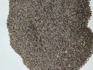 �����m��