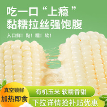 �ЙC���װ���Ŵ����b�ǖ|�����Sճ�Ŵ�������r�Fժ