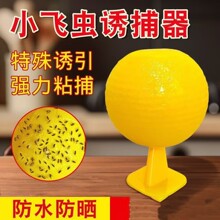 ���@�����Tω�����ωᘷ��Сʳωճ�x���nω���w�x���ω�T����