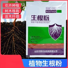 生根粉生根壮根移栽扦插树木移花栽苗快速生根生根液防死苗烂根