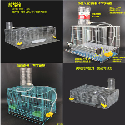 鹧鸪笼 加密肉鹌鹑鹦鹉芦丁鸡石鸡养殖笼 家养鸟类鹧鸪鹌鹑滚蛋笼