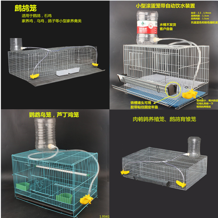 鹧鸪笼 加密肉鹌鹑鹦鹉芦丁鸡石鸡养殖笼 家养鸟类鹧鸪鹌鹑滚蛋笼