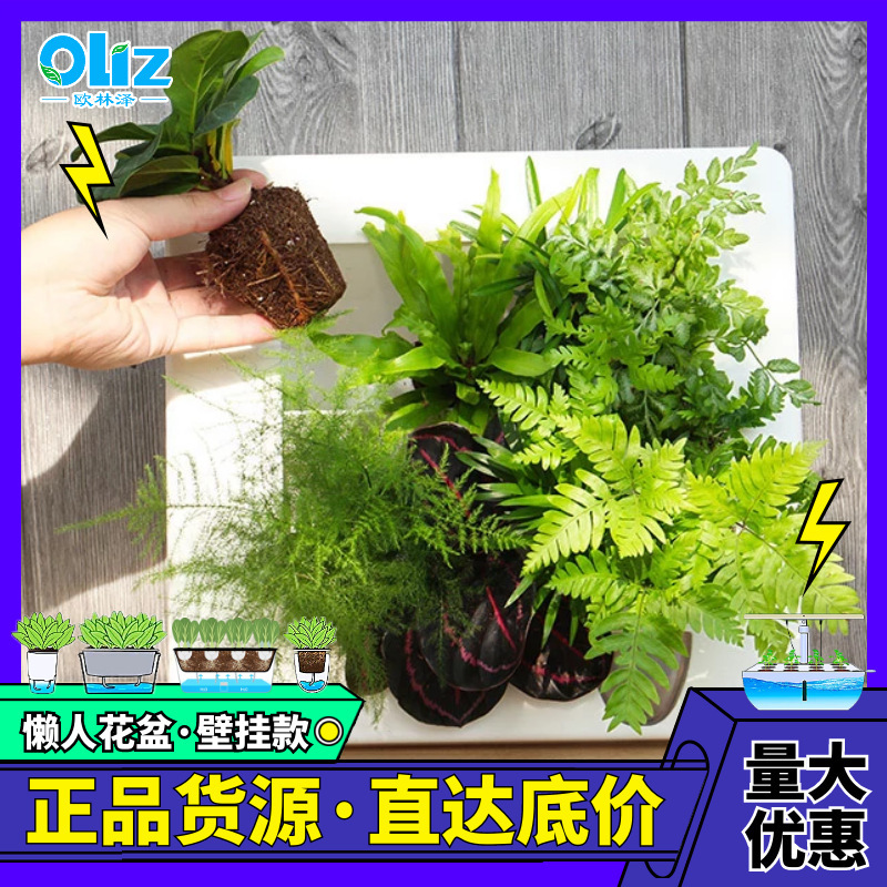 Factory spot photo frame wall hanging K cross-border DIY micro landscape fleshy lazy flower pot ins creative decoration living room