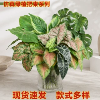 仿真绿植万年青把束室内客厅桌面摆件商场橱窗造景装饰镜面草插花