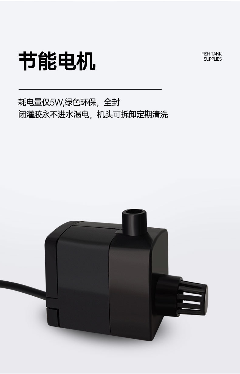 xiangqing_06.jpg