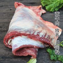 新鲜牛腩肉原切不调理品质大块黄牛腩黄牛肉散养清真