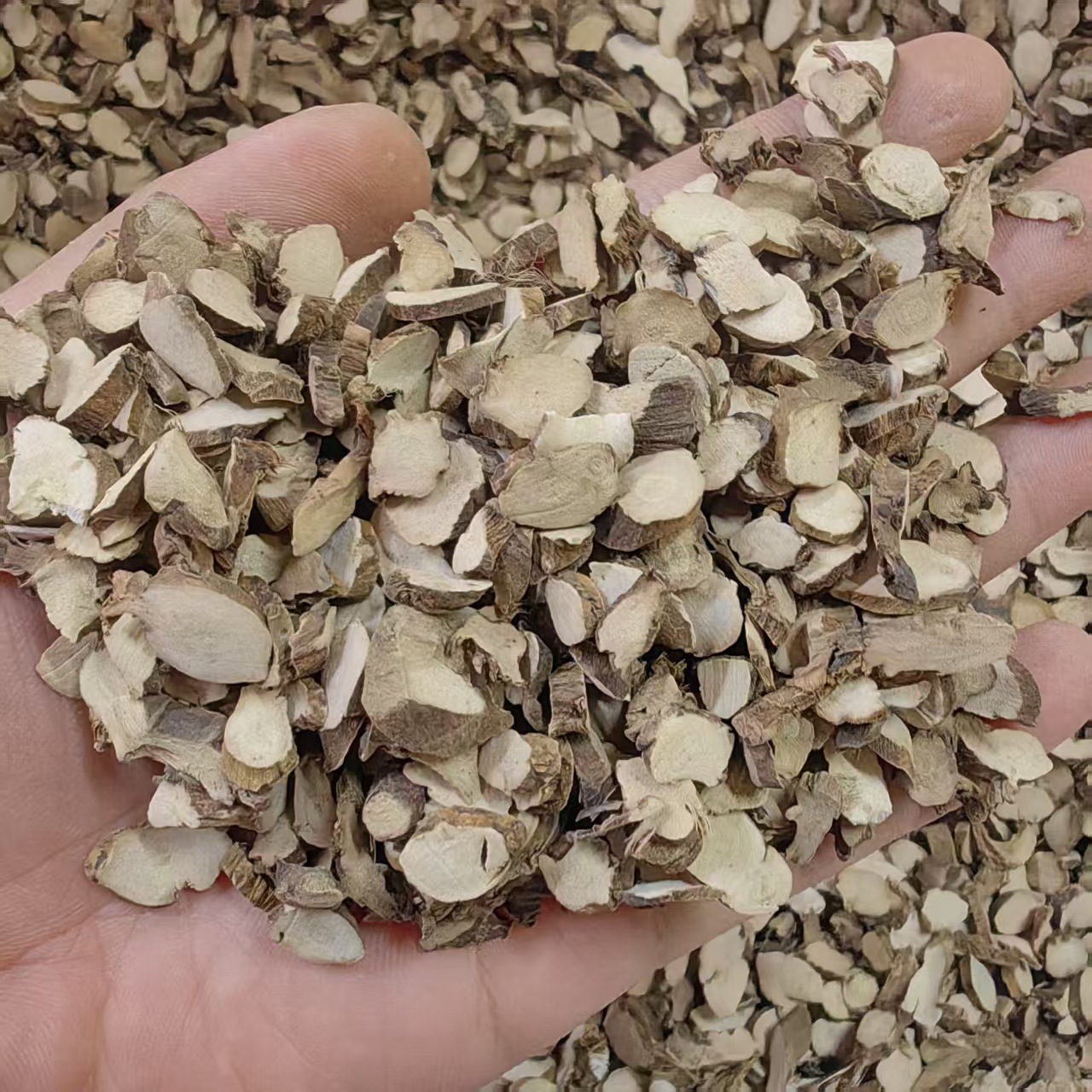 Shi Chang Pu Grassleaf Sweetflag Powder 500g Dried Acorus Tatarinowii Rhizome for Traditional Herbal Use quality and texture