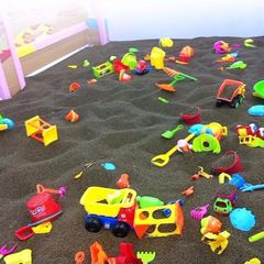 決明子子供玩具砂決明子枕芯野生除塵決明子ばら積決明子砂池砂