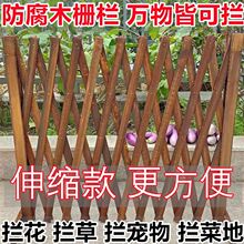 ����ľ�ř���s��؇���̼�����Wľ�h�ʈ@ˇ���T�����o��ͥԺ�̨