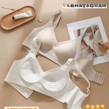 ���������z�lȫ�̶����o�ۃ���ŮʿС�ؾ۔n���з������Ʊ�������