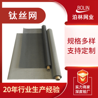 源头工厂现货200目钛网 电子元件导热纯钛网 10-200目白钛网定制|ru