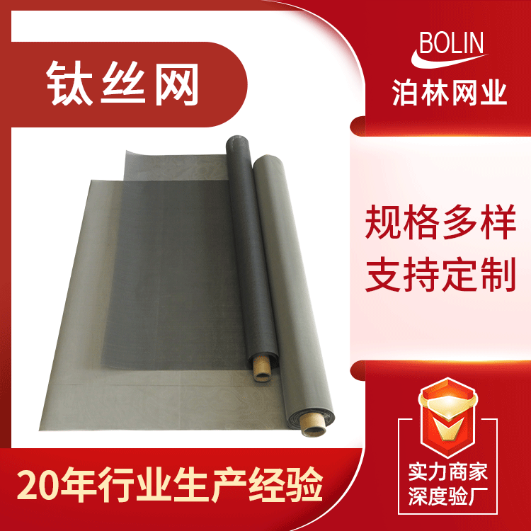 源头工厂现货200目钛网 电子元件导热纯钛网 10-200目白钛网定制|ru