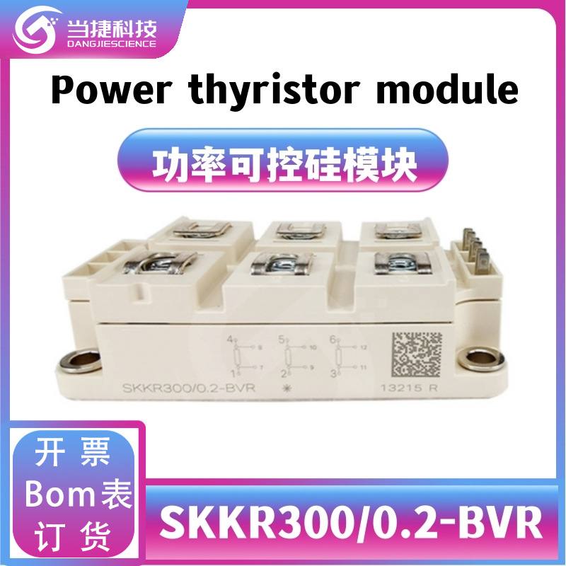 SKKR300/0.2-BVR 全新模块整流器 300/0.2-BVR可控硅 原装现货