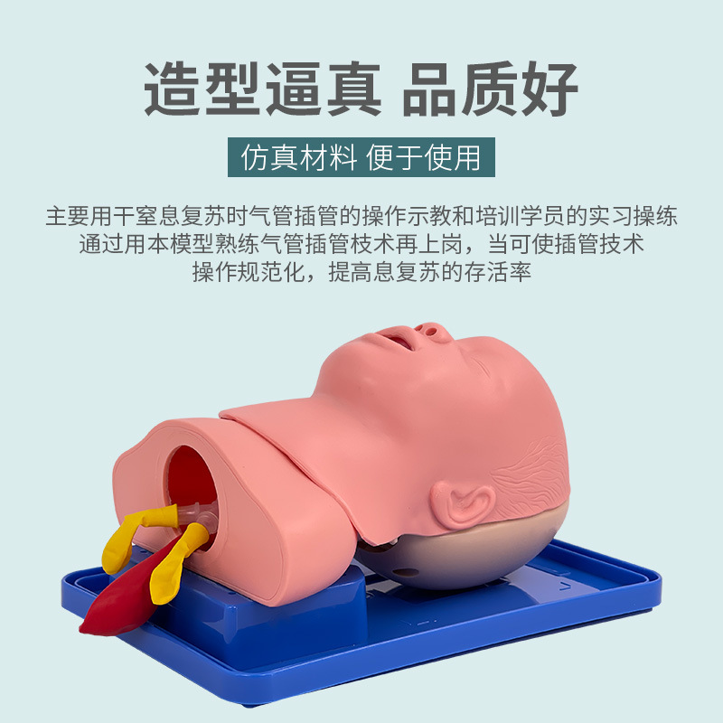 �߼�Ӥ�����ܲ��ģ�� ���ܲ��ģ�� Ӥ������ѵ�� ������������