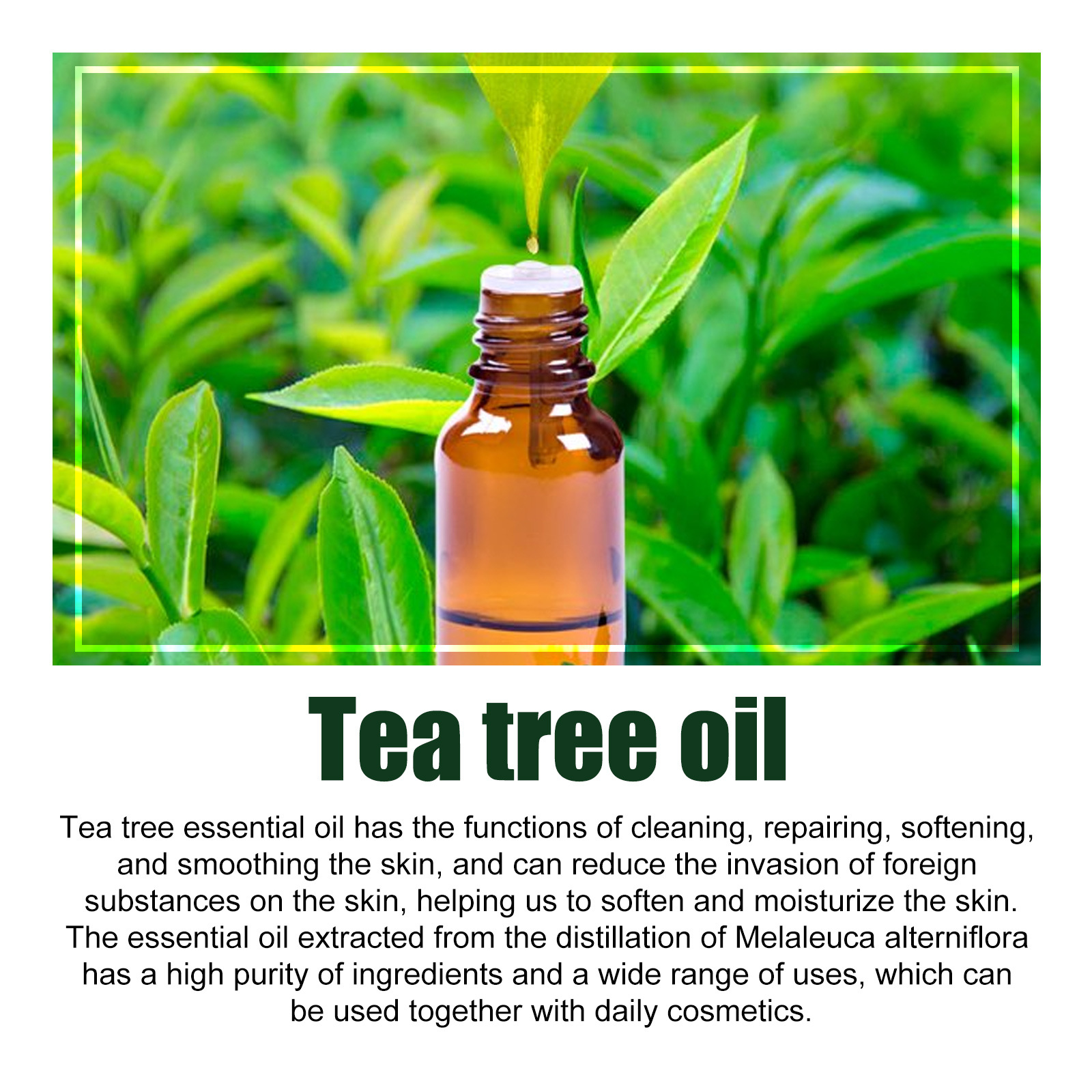 EELHOE Tea Tree Massage Essential Oil Repairing Hair Facial Moisturizing Skin essence_voghion.com
