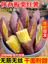 农家自种红薯 板栗红薯沙地新鲜番薯小山芋蔬菜甜地瓜板栗薯