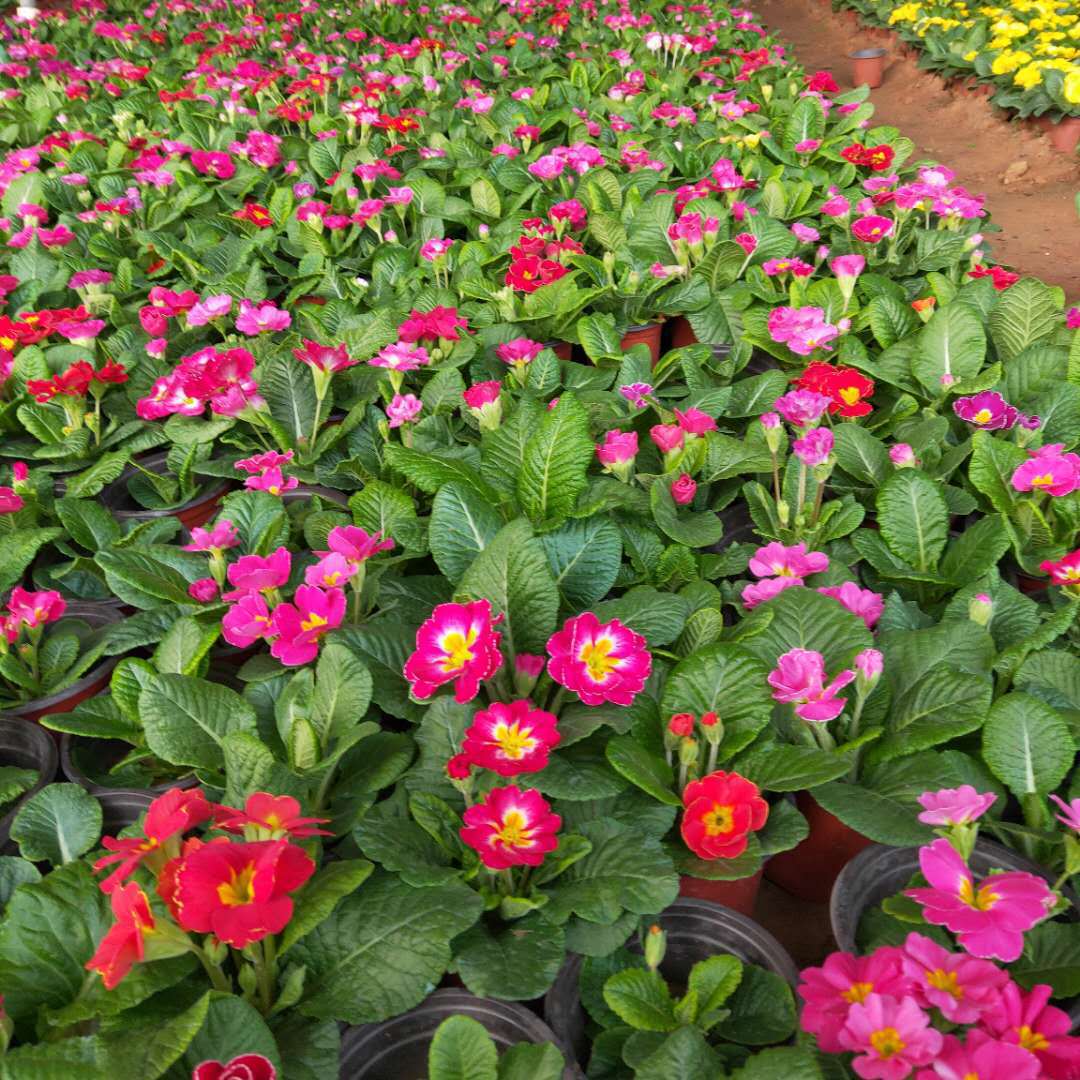 12860026557_1141501121