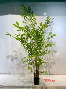 �����~β�������Է���Gֲ���ؘ�����ƟᎧ�����쾰ֲ�����Կ���