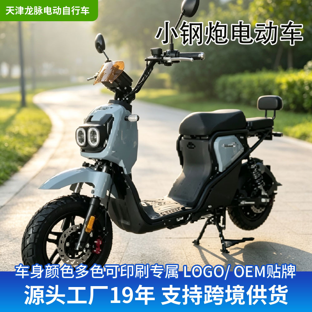 跨境小钢炮电动车长续航代步车两轮电瓶车接送孩子代步电动车