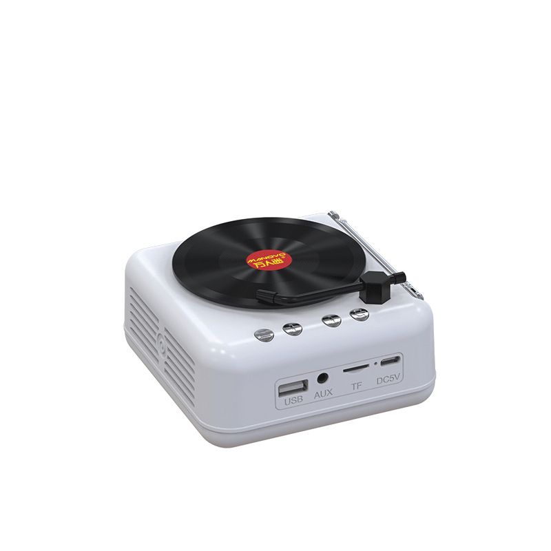 Giradischi in vinile Karaoke Bluetooth Mini altoparlante wireless regalo di compleanno per donne e uomini_voghion.com