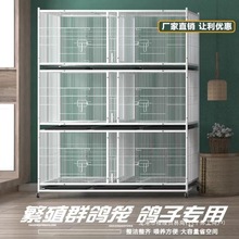 鸽子笼配对笼养殖笼加密多层笼鹌鹑信鸽元宝鸽笼防老鼠黄鼠狼笼子