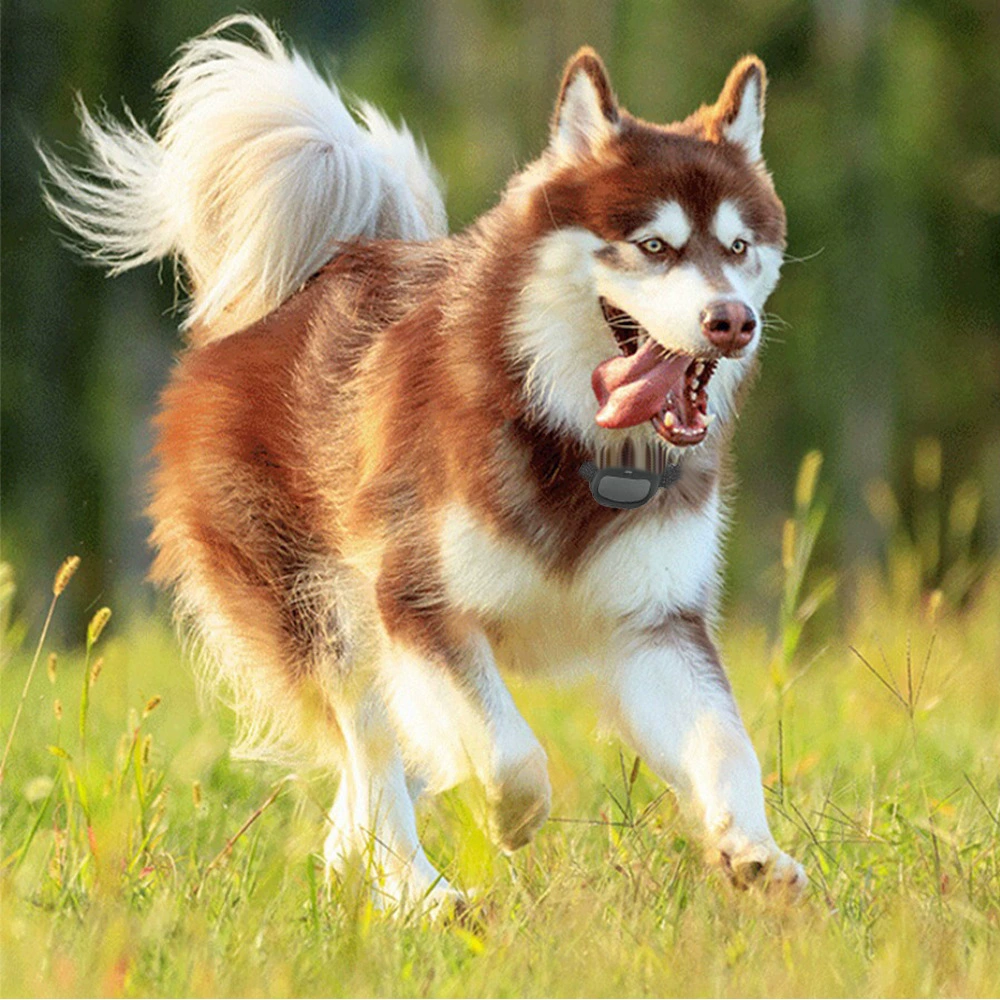 Глобальный Универсальный локатор ПЭТ 4G GPS-трекер PET TRACK Водонепроницаемый Анти-потерянный прибор собака кошка анти-потерянный