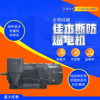 佳木斯电机马达YFB高压电动机粉尘防爆三相异步280kw315kw375kw