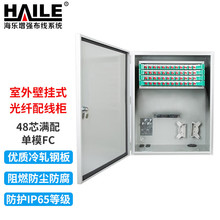 HAILE���� ������|������ڒ�ʽ���w�侀��48о�M����w���ģFC