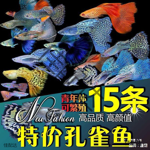 �ͻ��^�p�~���~С���~�Ꭷ�~�猙���~���B�����ȸ�~���N��ˮ