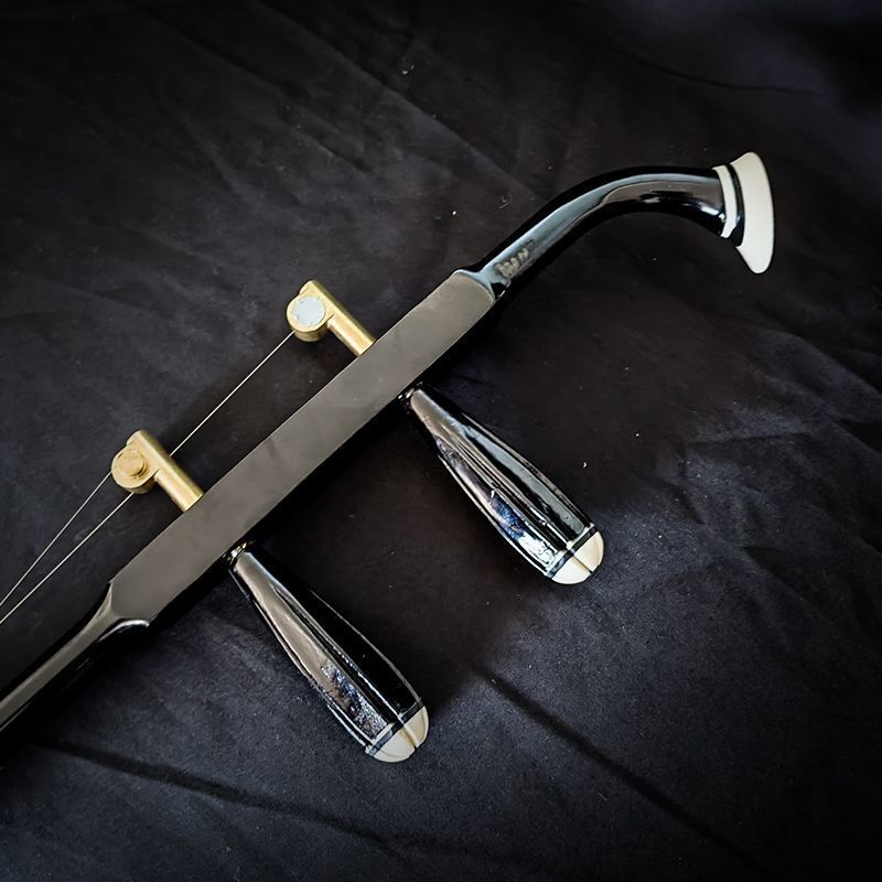 SRR Suzhou International Capital Erhu Musical Instrument Manufacturers Direct Sales Grade High -speed Erhu Full Set Large Sound Primary School