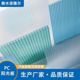 Pc Sun Panel Vegetable Shed Double-Layer Canopy Greenhouse Carport Sunroom Uv-Resistant Polycarbonate Endurance Board
