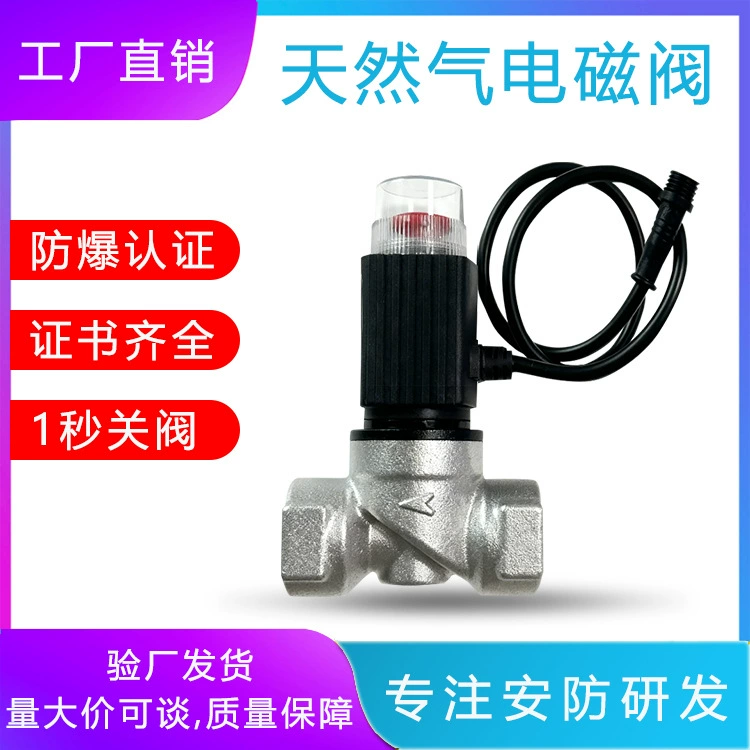 Электромагнитный клапан трубопровода природного газа сигнализация утечки газа навеска автоматическое отключение DN15 DN20 беспроводное отключение