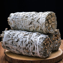 �羳���ݰ���β��white sageֲ����޹ѩ���ȿ՚�����������b���l