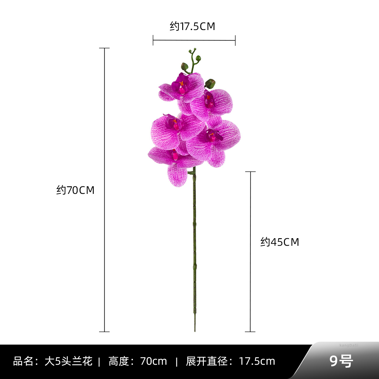 9 # 빅 5 호접란