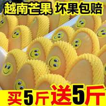 【现摘发货】越南玉芒应季青芒新鲜芒果水果大青芒批发包甜非凯