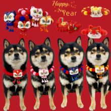 �羳����ë���Ȧ�^�����b�Ʒ�����ȦС؈������󹷹��朶���