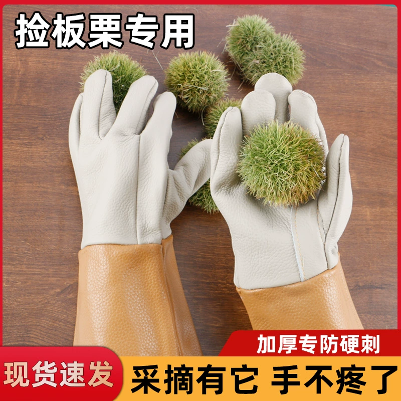 Противоударные перчатки Подбор каштанов Противозатенение для садоводства Универсальный перцовый перец розовый каштан специальные перчатки