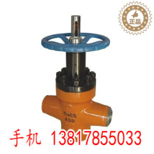 PZ973H��PZ973F늄ӵ����l�yDN50 65 80 100 125 150 200