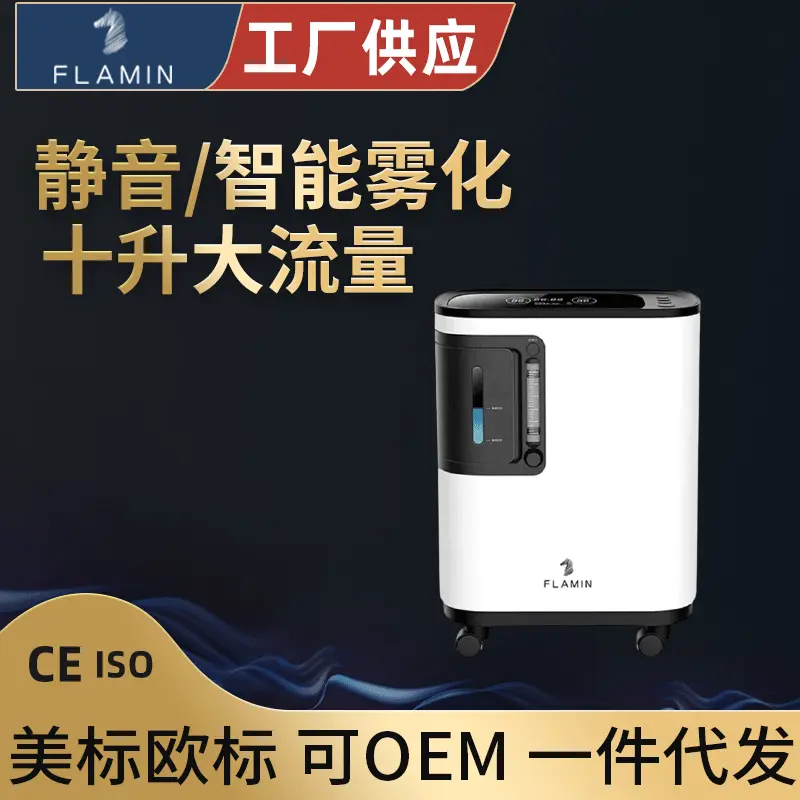 低噪音3L制氧机 老人孕妇家用便携吸氧机 触摸式车载带雾化氧气机