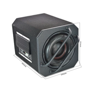 1200W Kvadrat 12V Aktiv 10 düym Avtomobil Sabvuferi
