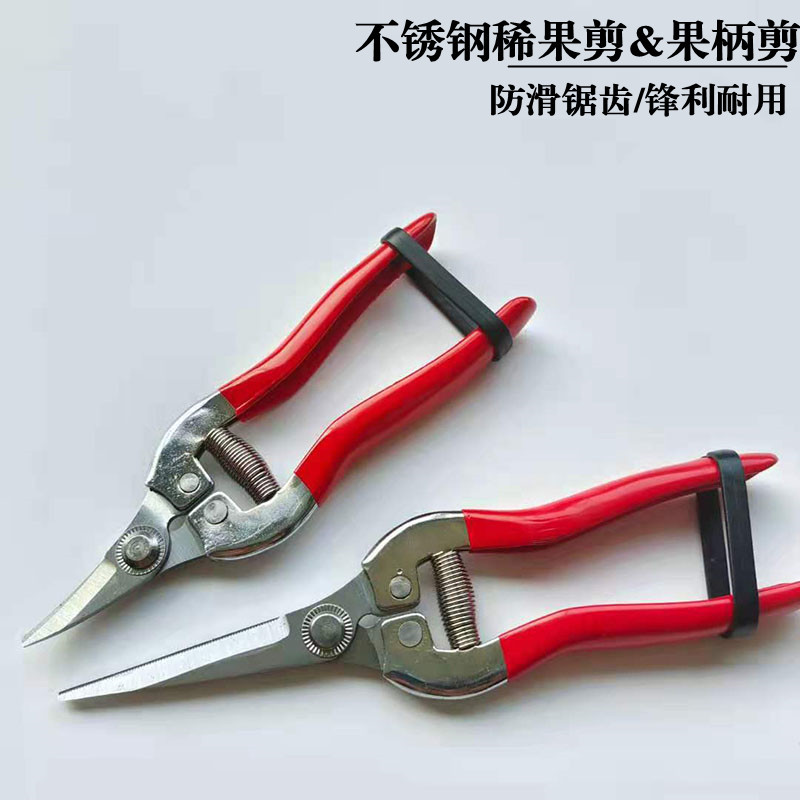 山藤摘果疏果采果剪稀果剪葡萄剪枸杞剪番茄剪刀橘子剪剪果农专用