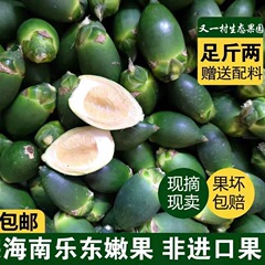 海南青ビンロウバルク生ビンロウ果実、柔らかい若々しい新鮮なビンロウ、摘みたての果実、直送、0.5kg、材料付き、送料無料
