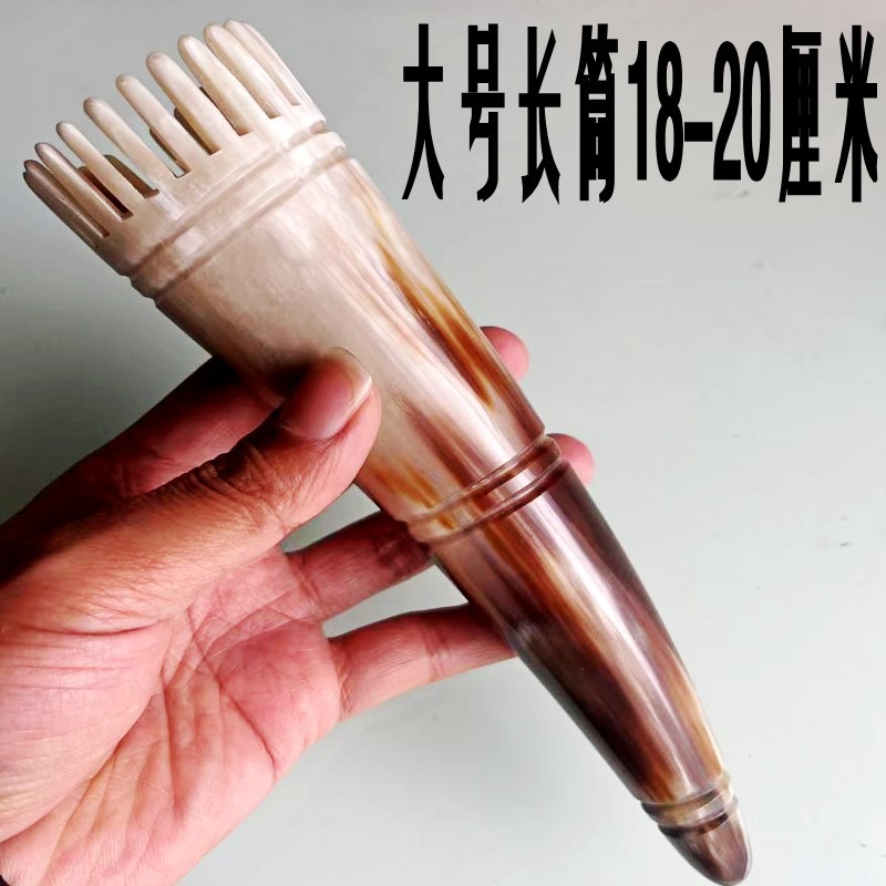 노란뿔긴관입-710155