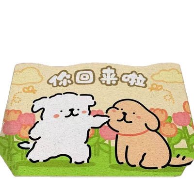 Avtomobil döşəmə paspasları Mud-Scraping Carpet