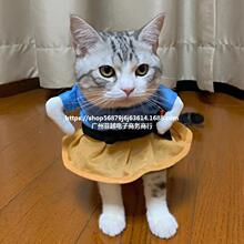 春秋宠物猫咪服饰可爱搞笑搞怪服装滑稽猫狗衣服站立变身装立体