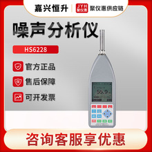 嘉兴恒升HS6228 精密型声级计 多功能噪声分析仪