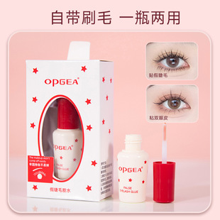 OPGEA��ë�zˮ�W���ٽ�ë�غͶ����zˮ�p��Ƥ�zˮ�[���n��Һ